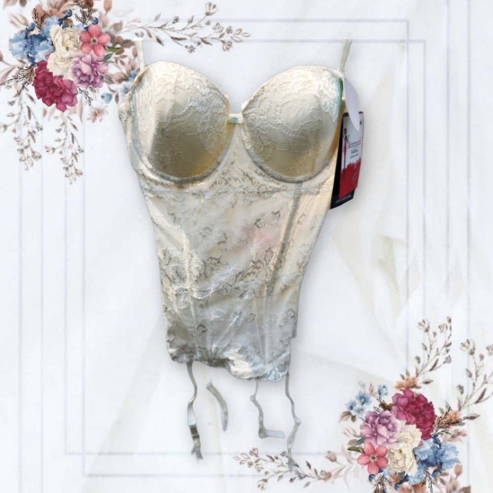 NEW Skinny Girl Lovely Lace Bustier - Picture 2 of 10